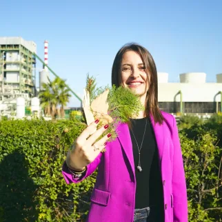 Flexible Power Generation