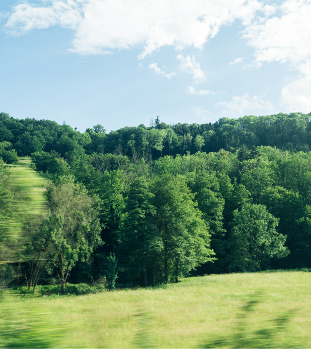 Shaping Sustainable 
Future for All