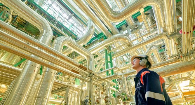 Overview of Companies